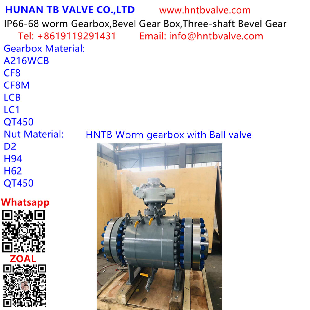 HNTB Worm gearbox with Ball valve